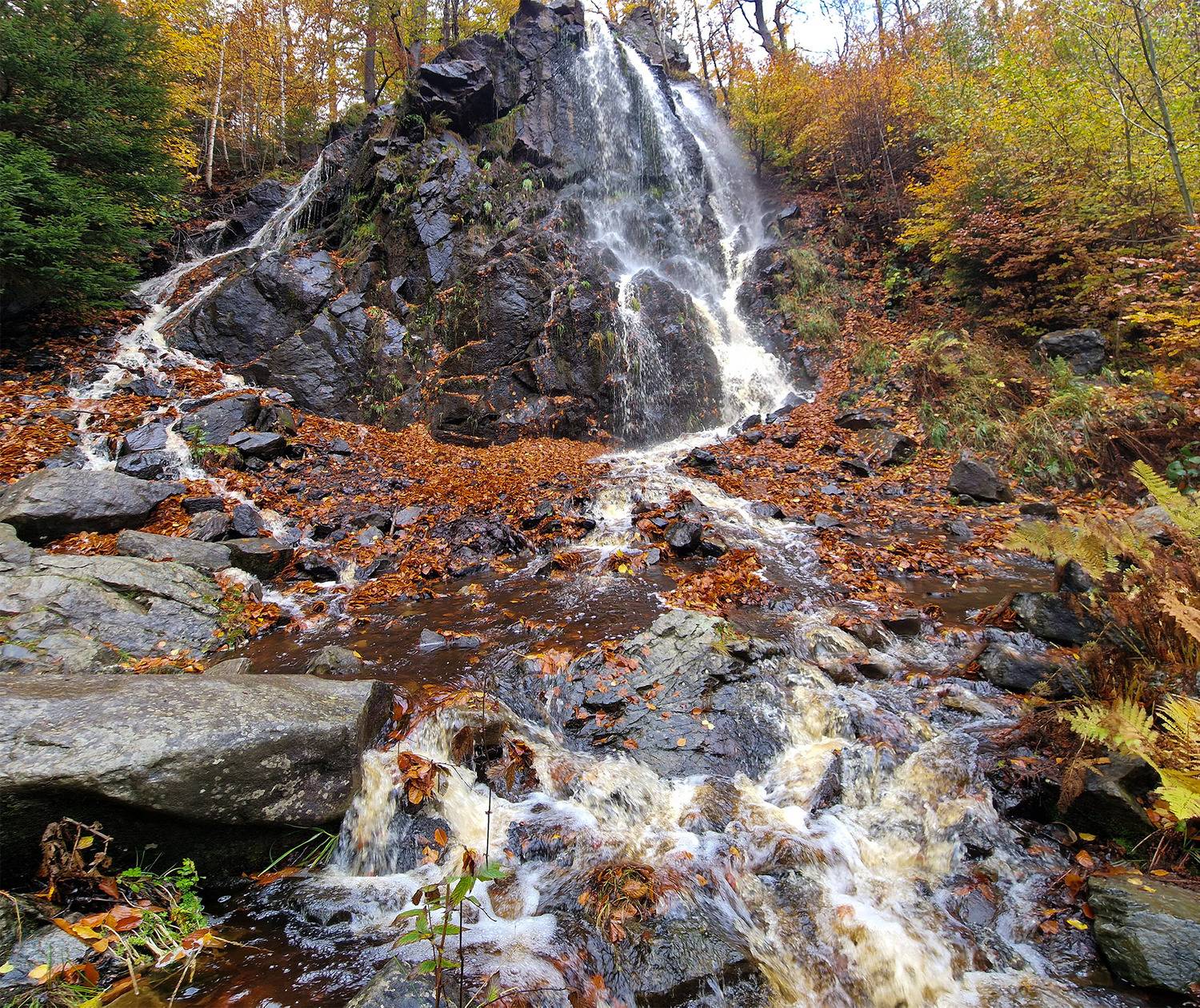 , Игорь Дубровский