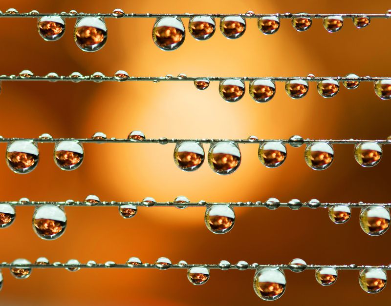 Домашние забавы. Борьба со скукой. фото превью