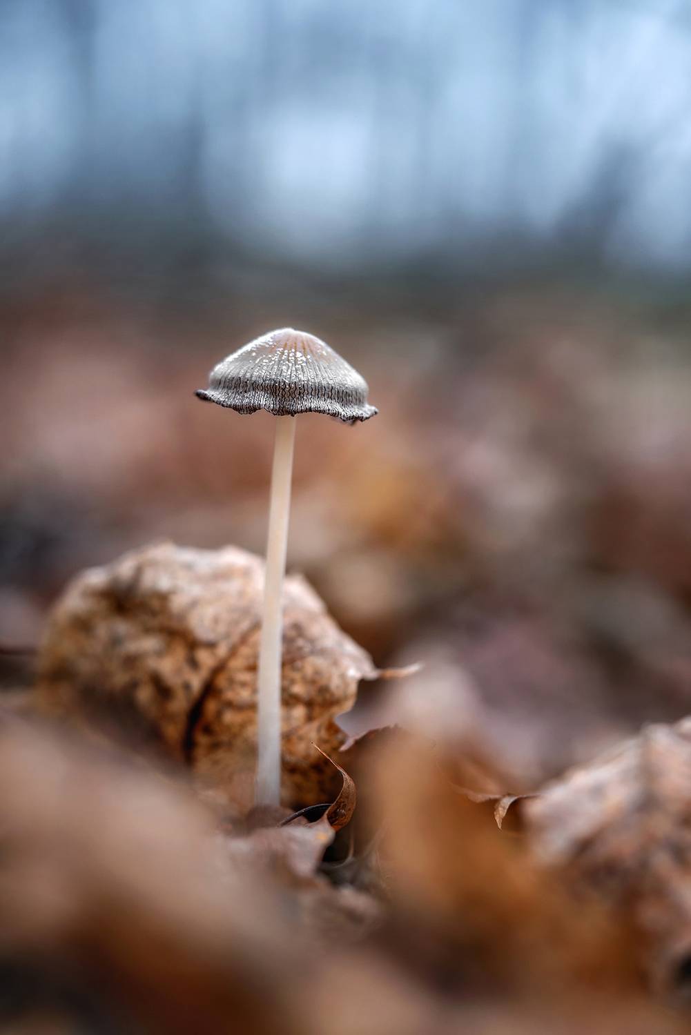 , Завьялова Людмила!