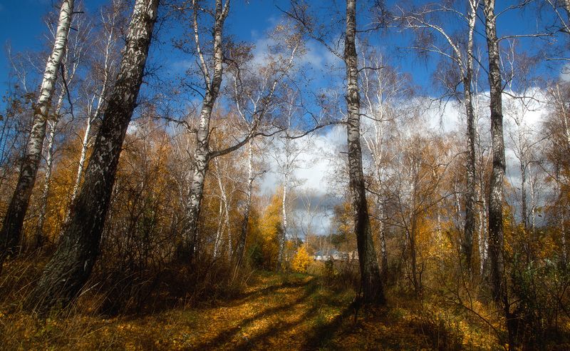 Осень фото превью