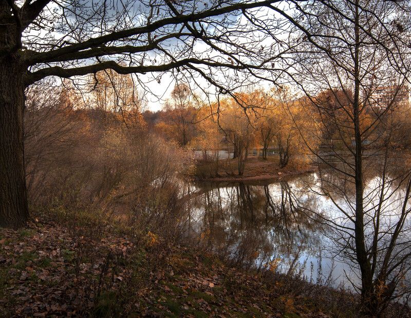 *** фото превью