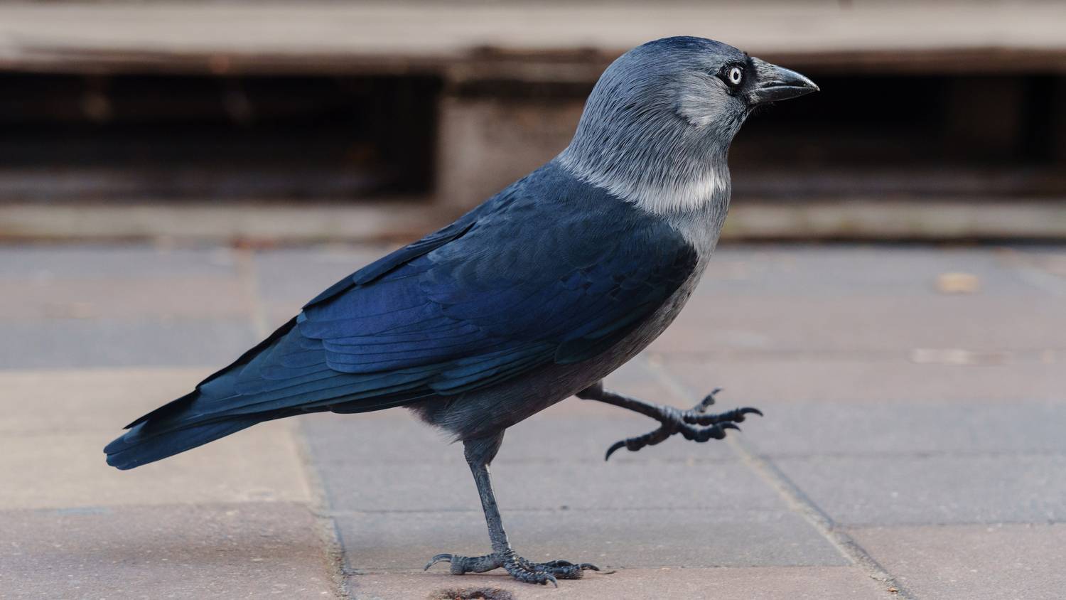 , Вертиков Юрий