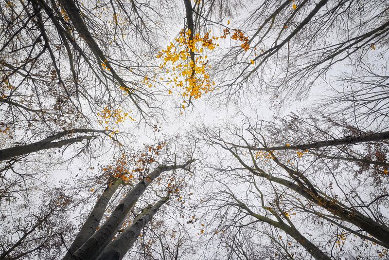 2025 фото превью