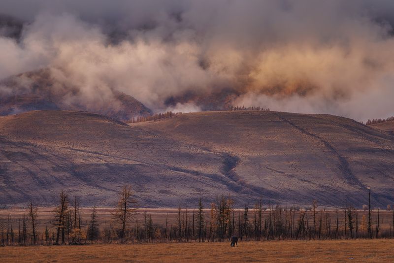 Вечер в Курае фото превью