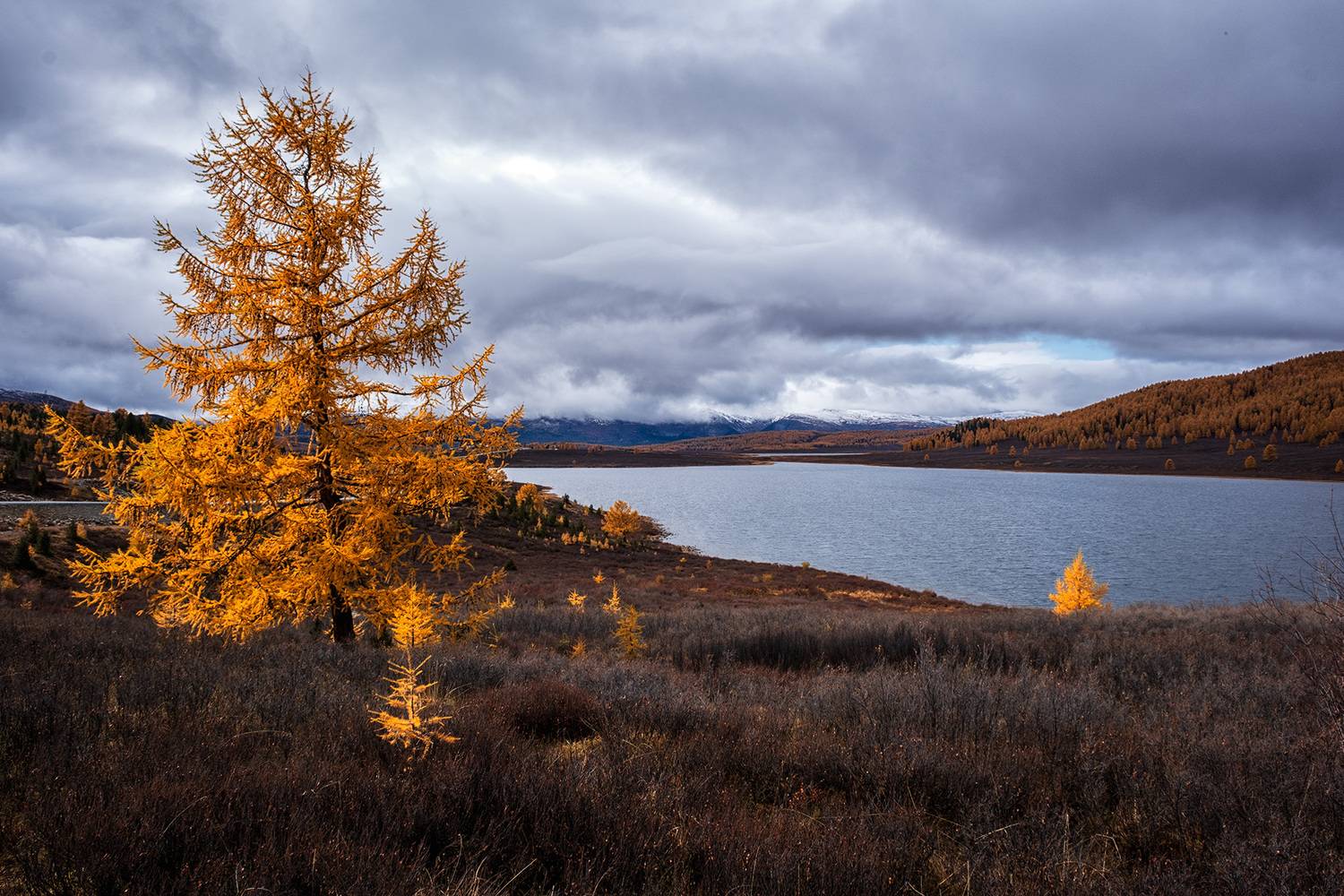 , Бодрягин Виталий