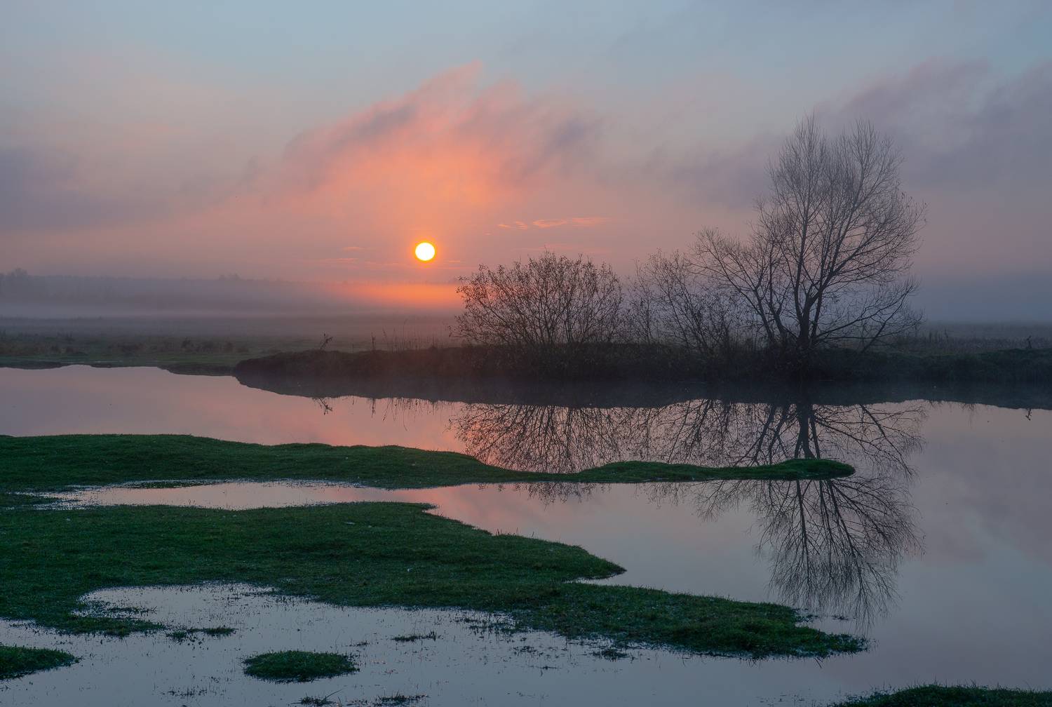 , Роман Игнатьев