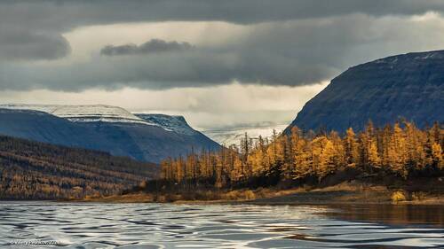 Суровый Дюпкун