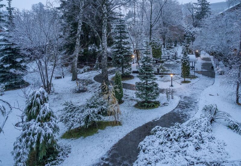 Вот и первый снежок... фото превью