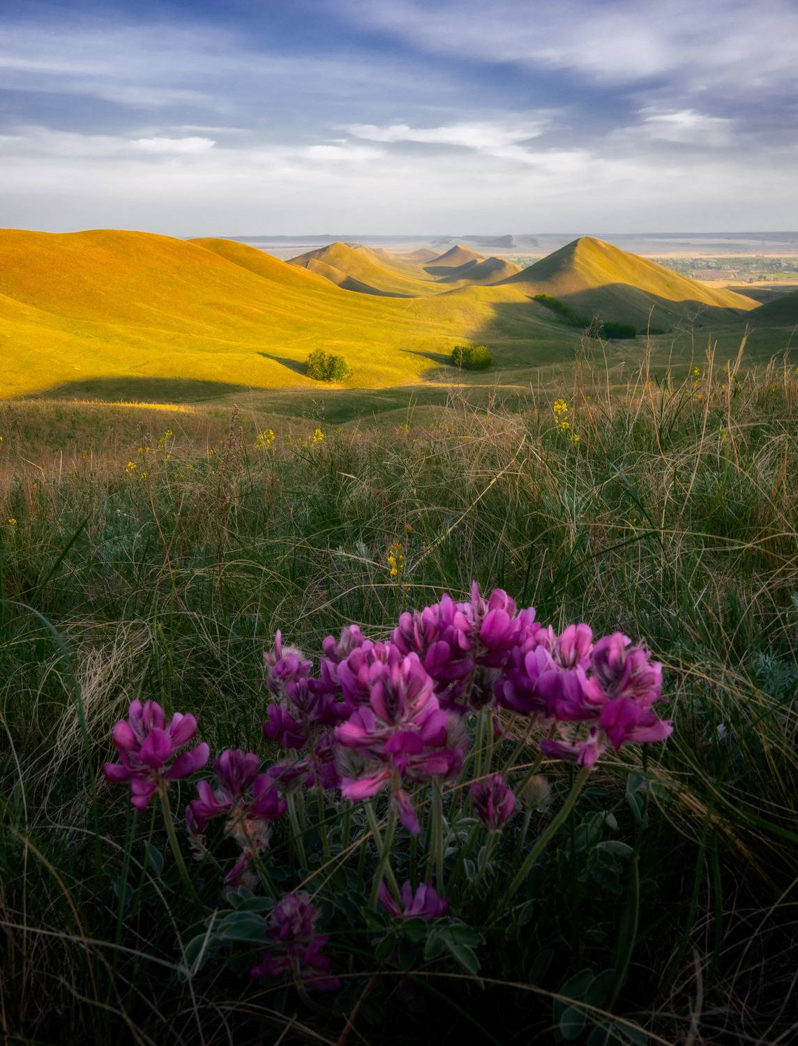 , Логачёв Илья