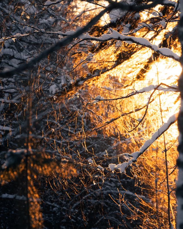 Зима  фото превью