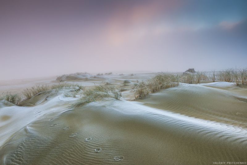 Морозное утро на Куршской косе фото превью