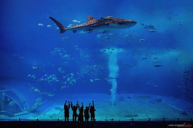 Okinawa фото превью