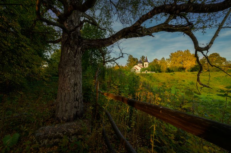 вечер, осень, храм, бёхово, церковь, поленово, россия, православие, тульская область, забор, дерево  фото превью