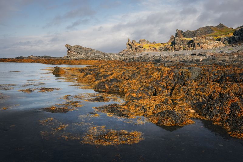 На странных берегах фото превью