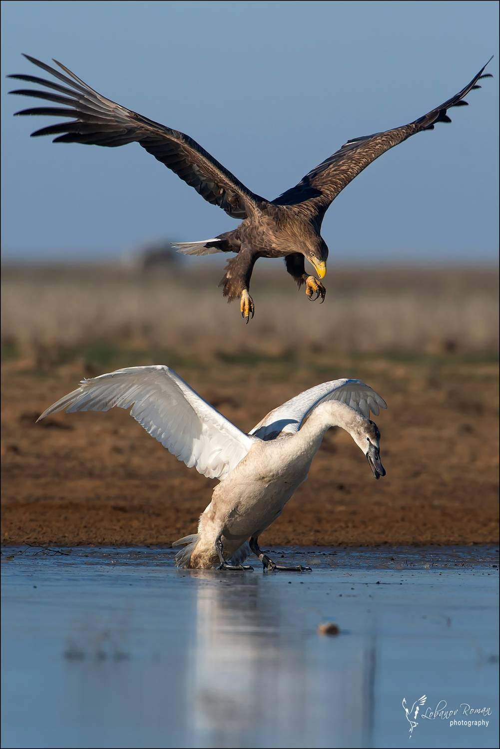 , Лобанов Роман