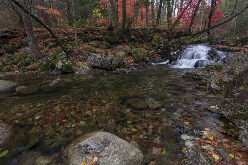 водопад, осень, тайга  фото превью