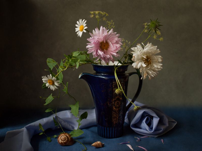 август, астры Август – астры фото превью