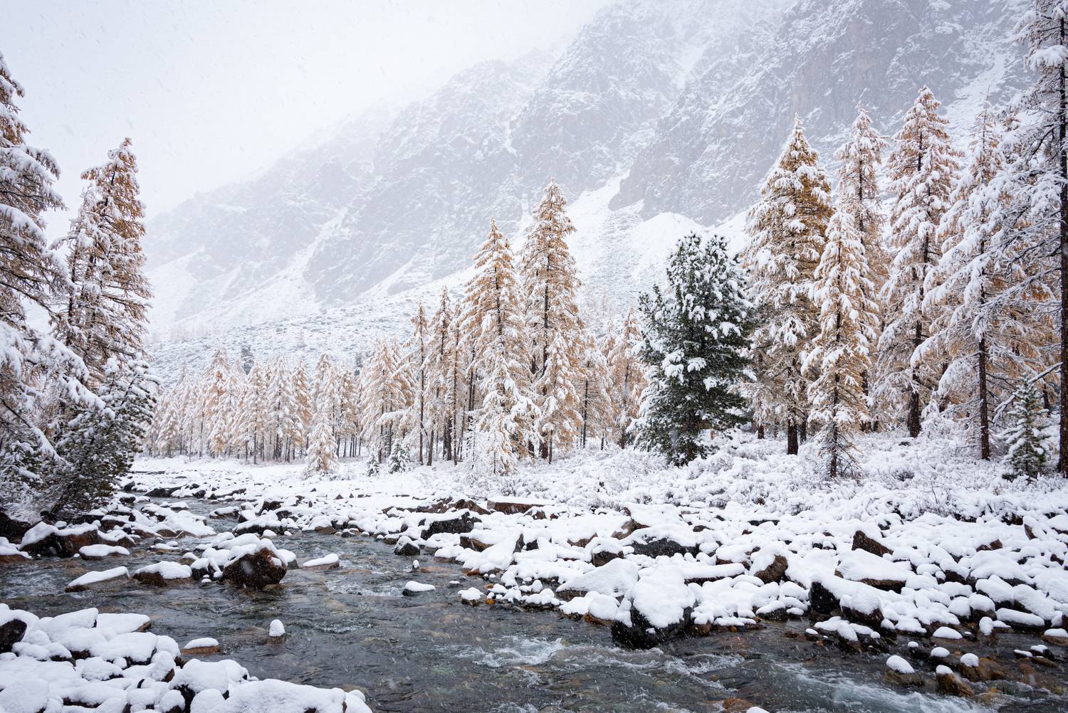 Алтай, осень, Актру, река, метель, снег, Степанова Татьяна