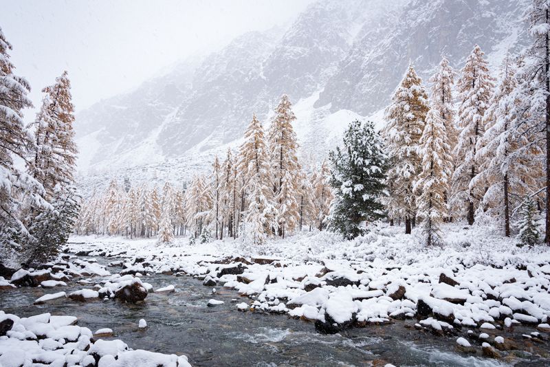 Алтай, осень, Актру, река, метель, снег Метель фото превью
