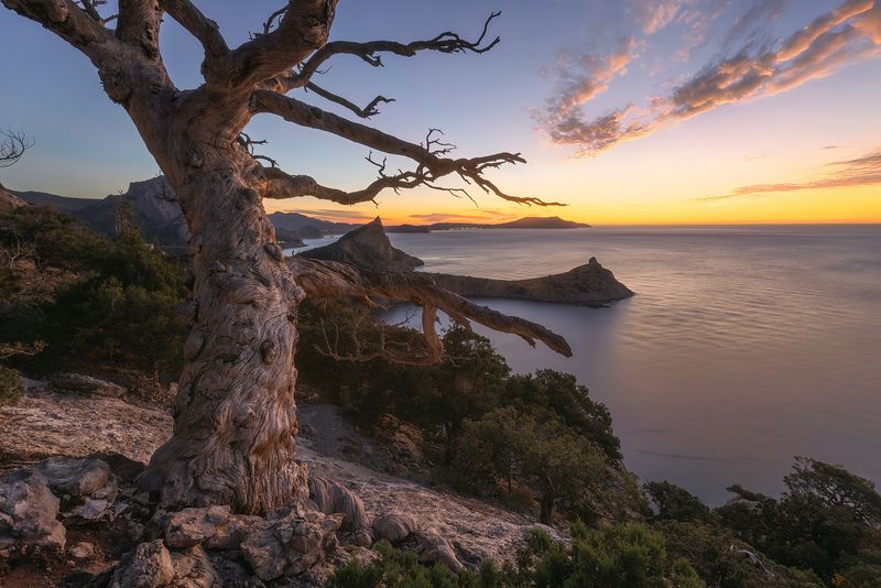 Вид на мыс Капчик фото превью