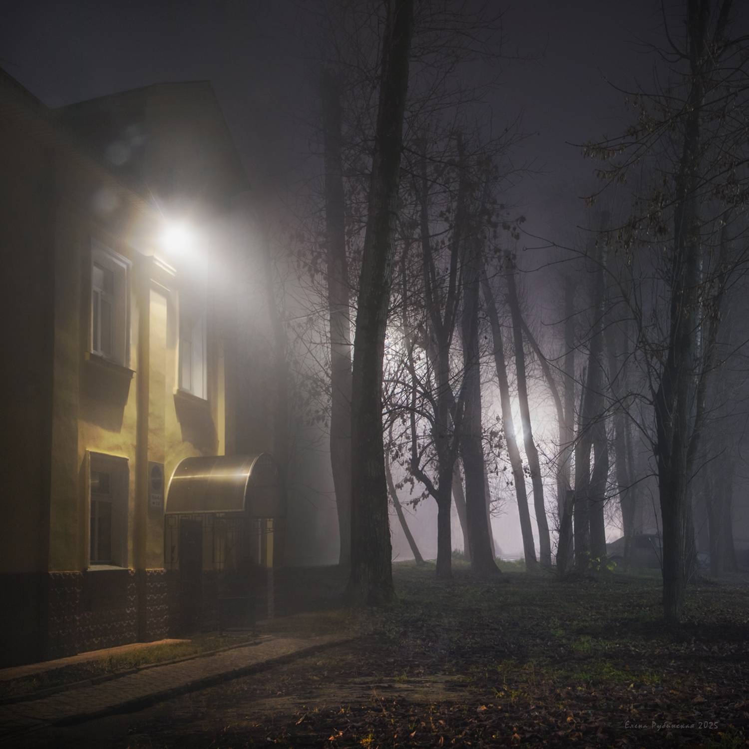 , Елена Рубинская