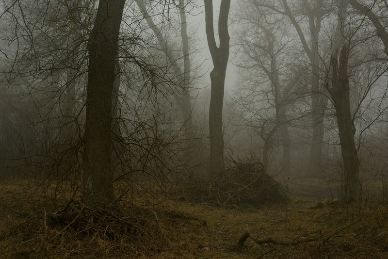 Хмурое утро фото превью