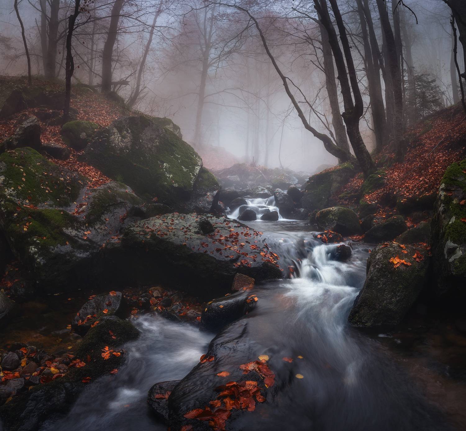 landscape nature scenery forest wood autumn mist misty fog foggy river longexposure mountain rocks vitosha bulgaria, Александър Александров