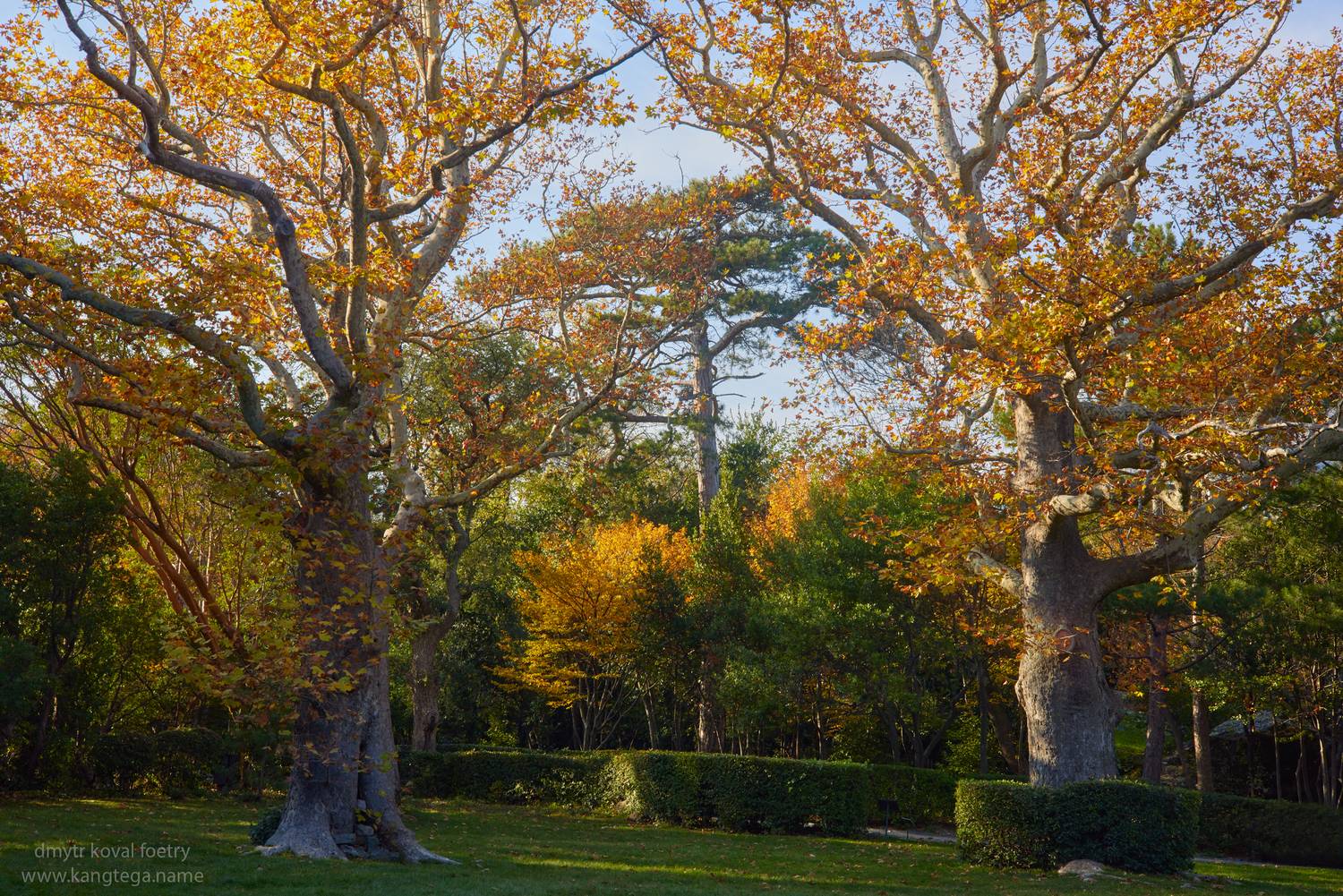 пейзажемагьё, пейзаж-как-виденье, Коваль Дмитр