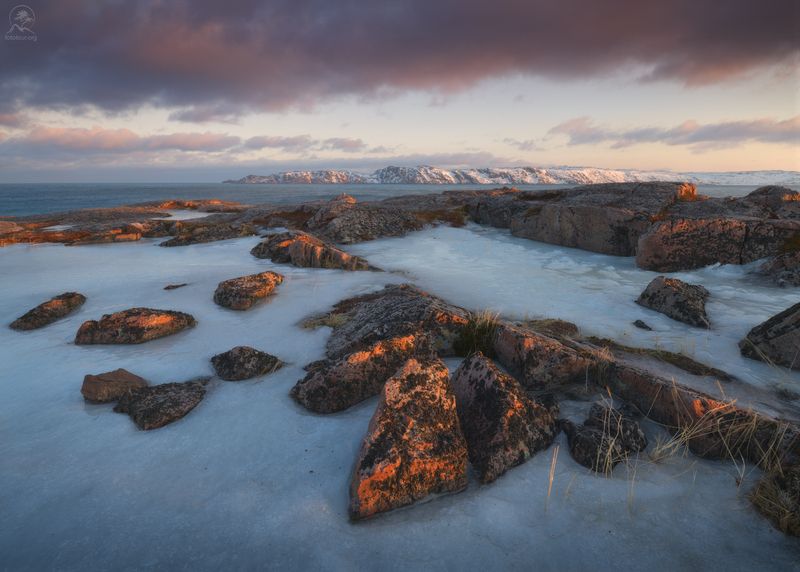 кольский, зима, фототур на кольский, мурманская область, зимний кольский, заполярье. териберка На севере жить фото превью