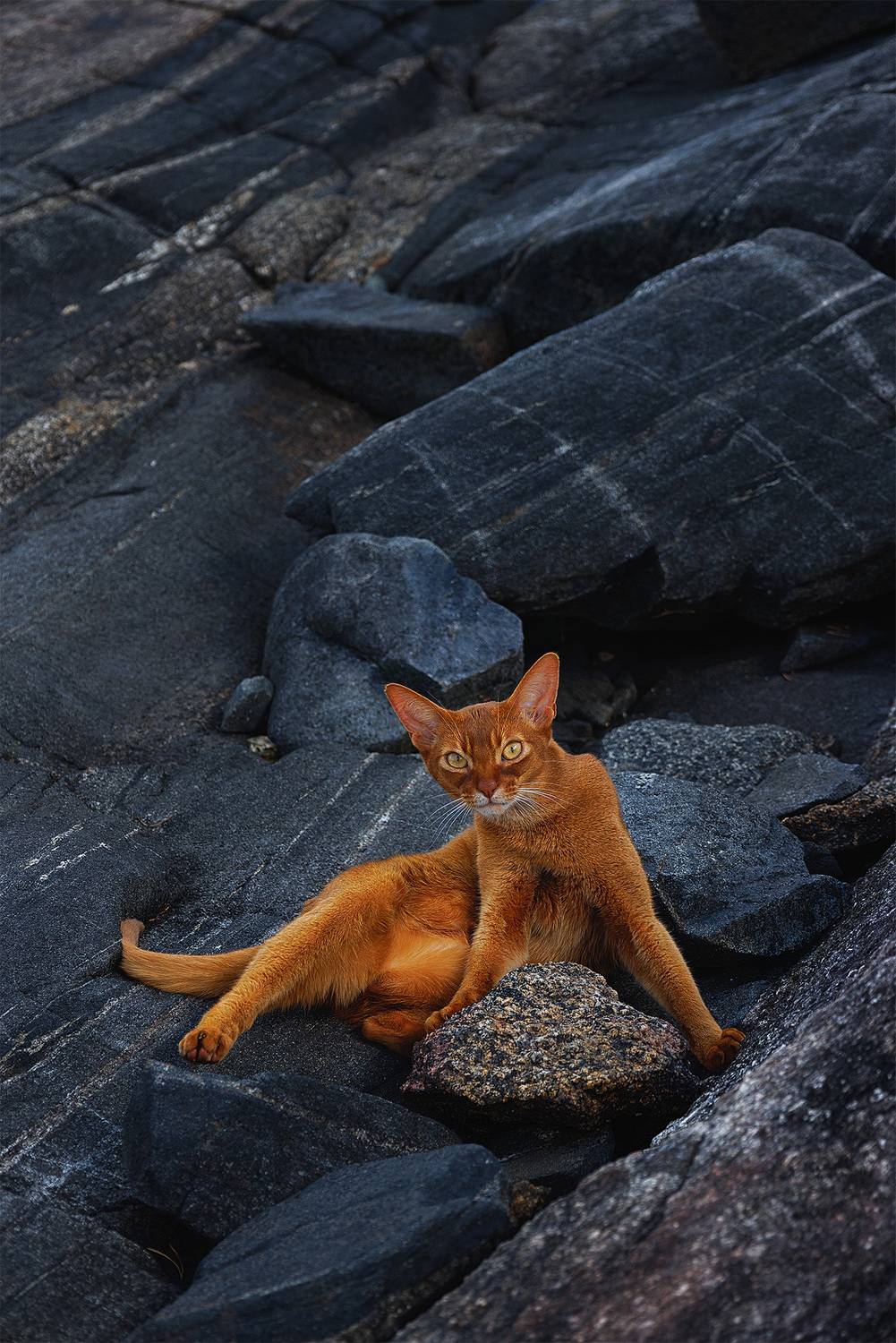 , Михайлова Елена