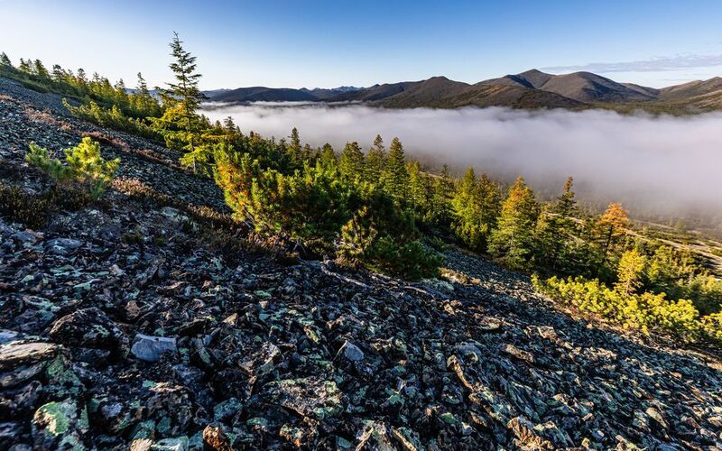 Осень, сопки, озеро Гранд, Колыма, утро, туман, курумник, камни Прогулка по сопкам у озера Гранд. Колыма. фото превью