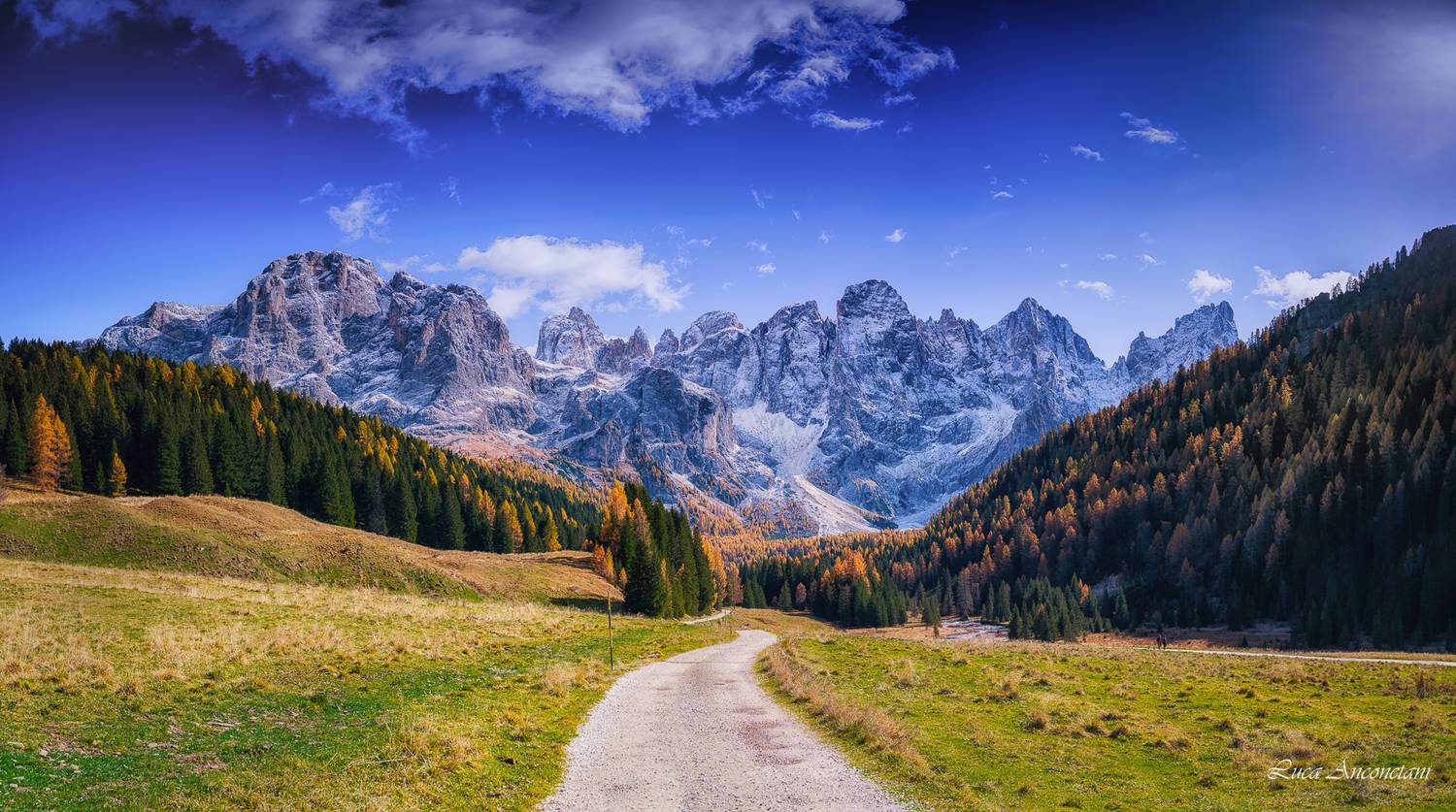 dolomites italy autumn landscape trees woods nature, Anconetani Luca