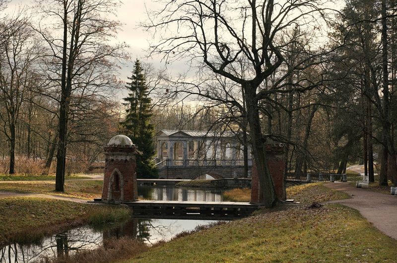 November фото превью