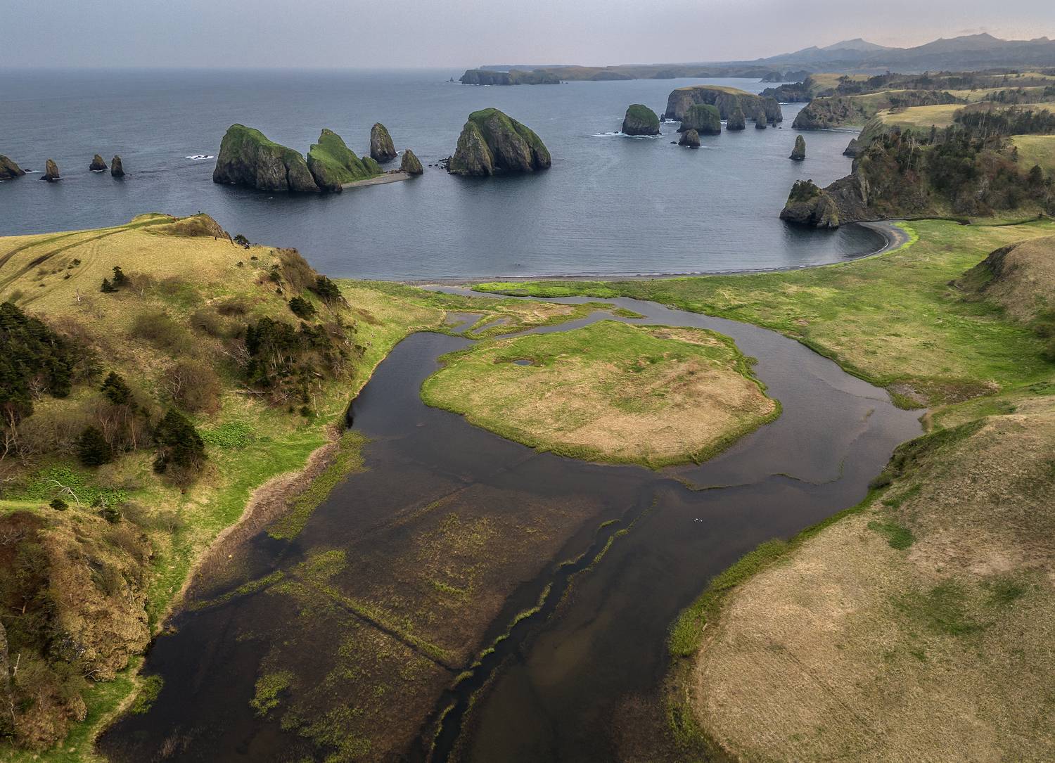 Курильские острова, Гусева Елена