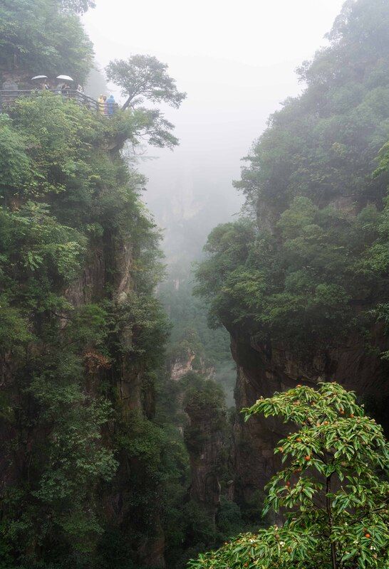 Завораживающий мир каменных Исполинов Чжанцзяцзе… The fascinating world of the stone Giants of Zhangjiajie... фото превью