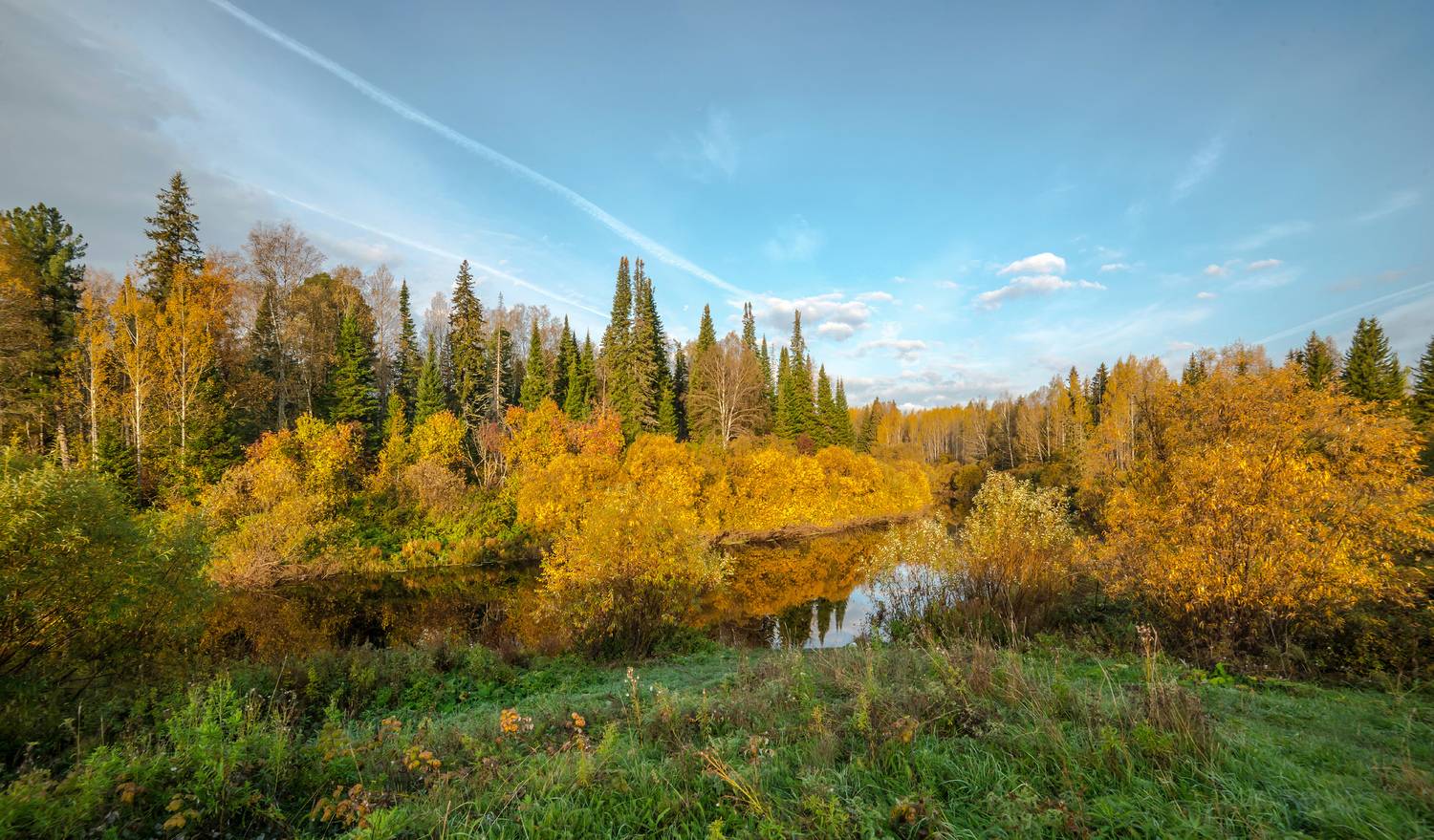 , Белоусов Михаил