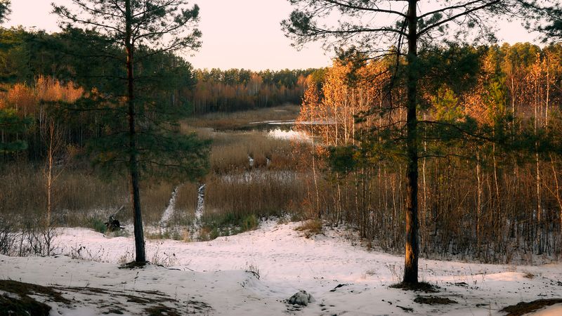 фото превью