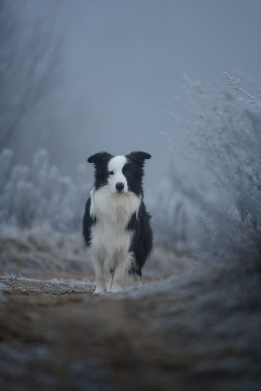 Утро ноября фото превью