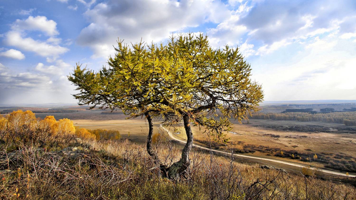 , Ушаков Валерий