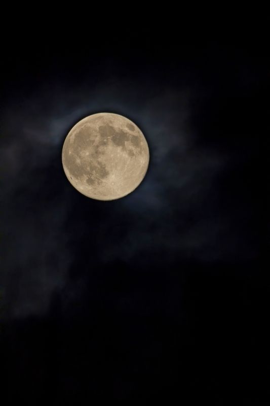 Бобровая или Охотничья луна 05.11.25 фото превью