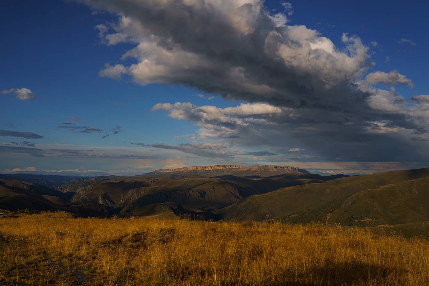 , Стеценко Александр