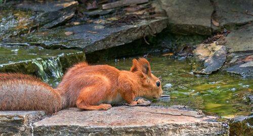 Вода - это жизнь! 2 ФОТО.
