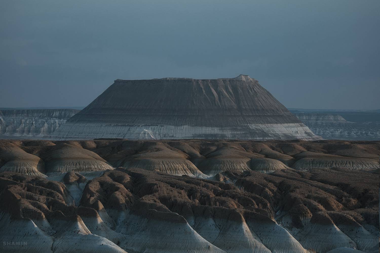 , Константин Шамин