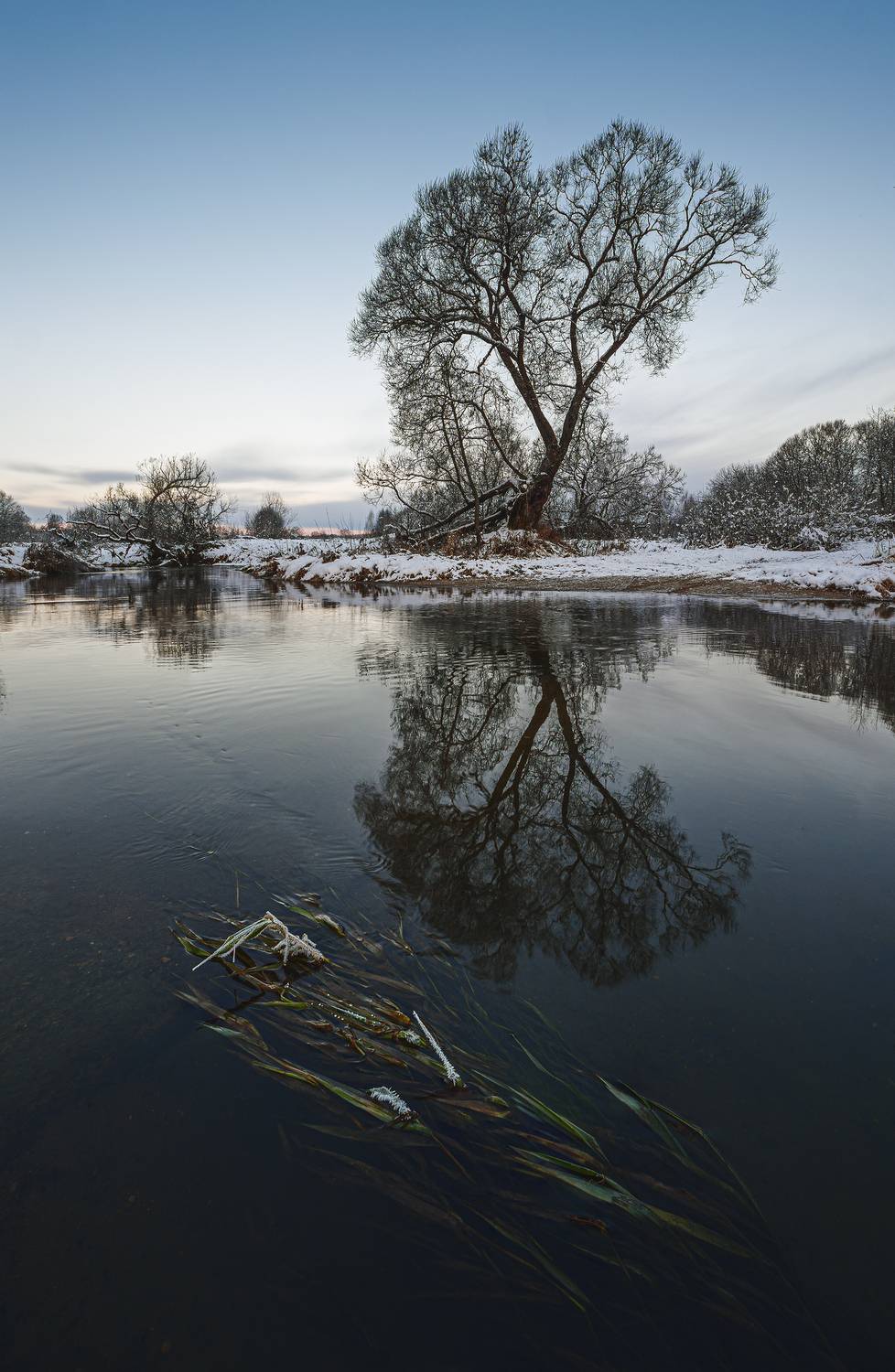, Андреев Николай