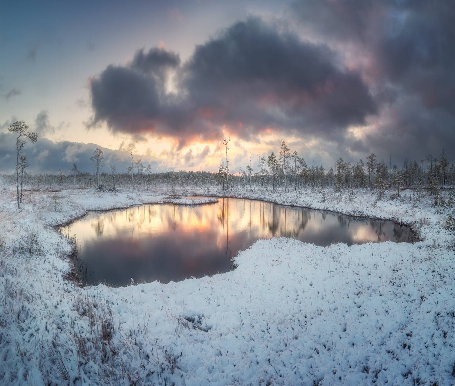 болото, ленобласть, рассвет, Марголин Алексей