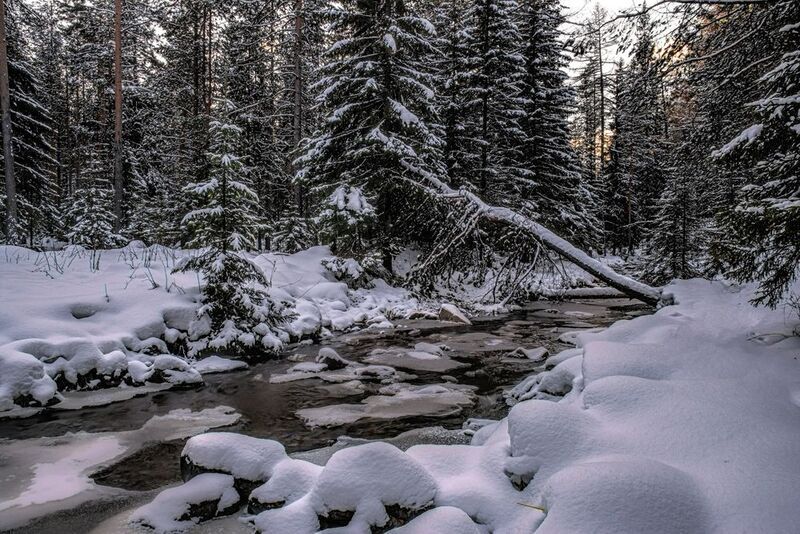 Первый снег фото превью
