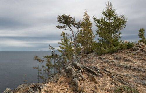 Берег Ольхона