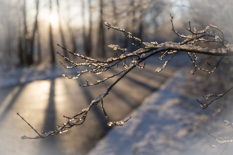 Первый снег фото превью
