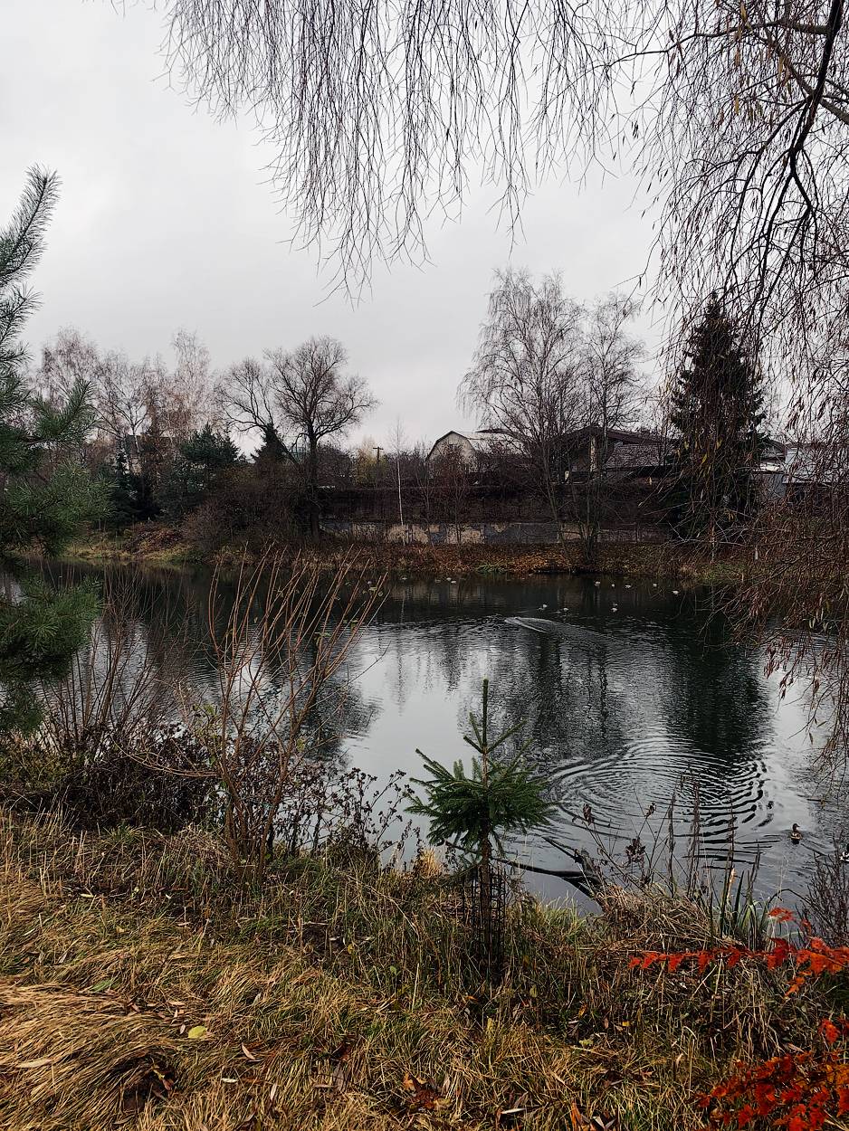 , Новикова Ольга