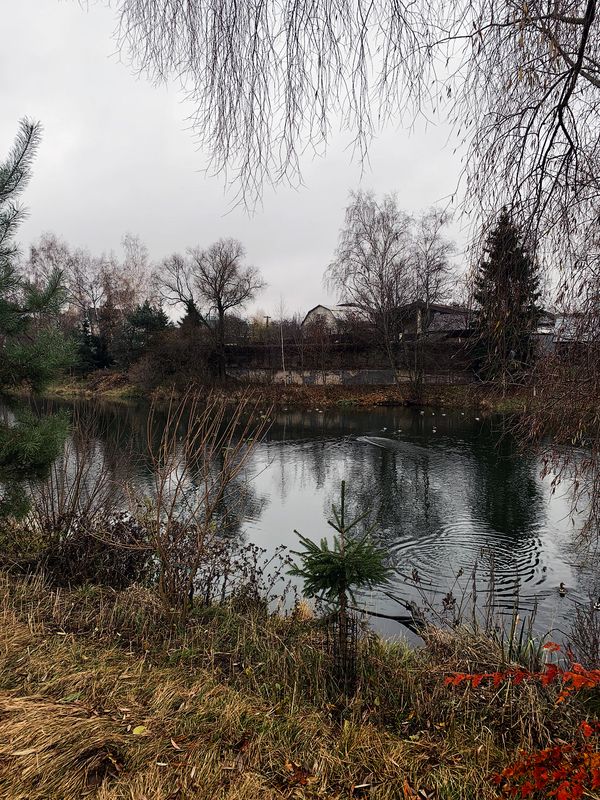 ноябрь фото превью